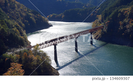 奥大井湖上駅　秋 134609307