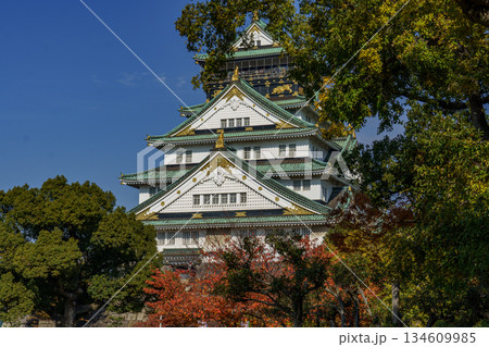 Osaka city in Japan 134609985