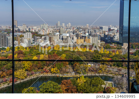 Osaka city in Japan Osaka city in Japan 134609995