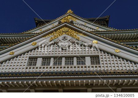 Osaka city in Japan Osaka city in Japan 134610005