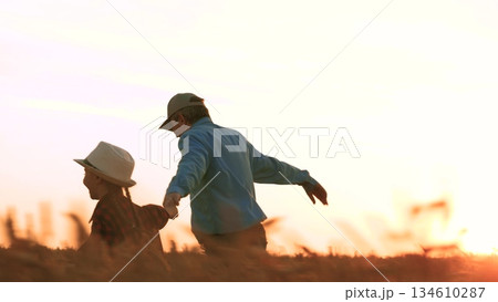 agriculture, wheat field, golden wheat farm field sunset,happy family. father with happy daughter running through wheat field sunset. child girl kid running through summer field dad farmer. sun sunset 134610287