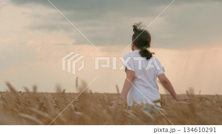 child running through wheat field, girl running through wheat field. agriculture. child runs from field wheat sunset. wheat cultivation. Children evening walk sunset. concept agriculture. Farmer child running through wheat field, girl running through wheat field. agriculture. child runs from field wheat sunset. wheat cultivation. Children evening walk sunset. concept agriculture. Farmer 134610291