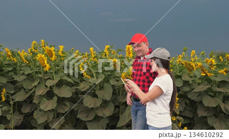 Agriculture, teamwork, business partner farmer agriculture, handshake sign deal, harvest, fresh soil grow crops, two farmers talking about sunflower harvest field, group people, farmer working hand 134610292