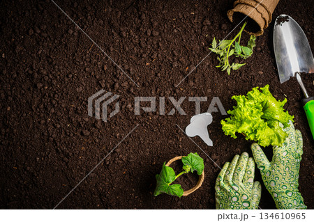 Garden tools and plants Garden tools and plants 134610965