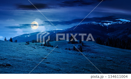 beautiful spring landscape in mountains at night. spruce trees on grassy hills in full moon light. snow on top of ridge. fluffy clouds on sky. inner strength to overcome fear, loneliness in darkness 134611004