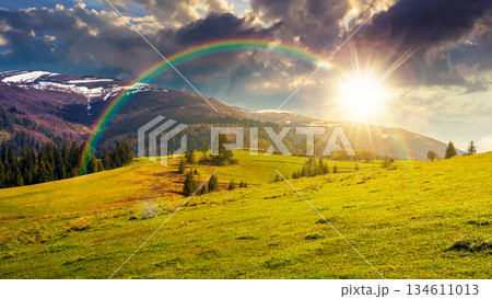 beautiful springtime landscape in mountains at sunset. spruce trees on the grassy hills in evening light. snow on the top of ridge. fluffy clouds on sky. storytelling cinematic image under the rainbow beautiful springtime landscape in mountains at sunset. spruce trees on the grassy hills in evening light. snow on the top of ridge. fluffy clouds on sky. storytelling cinematic image under the rainbow 134611013