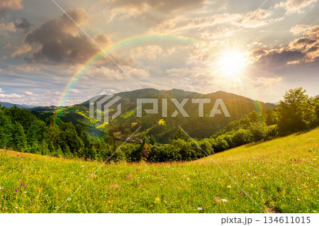 beautiful mountain landscape in summer at sunset. grassy meadow on rolling hills in evening light. ridge in the distance. sunny weather clouds on sky. leadership corporate wallpaper under the rainbow 134611015