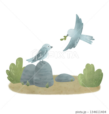Composition: birds, rocks, sand, bushes. Cartoon illustration in a flat style. Watercolor, pastel, gouache, gray, green. For design of children's products 134611404