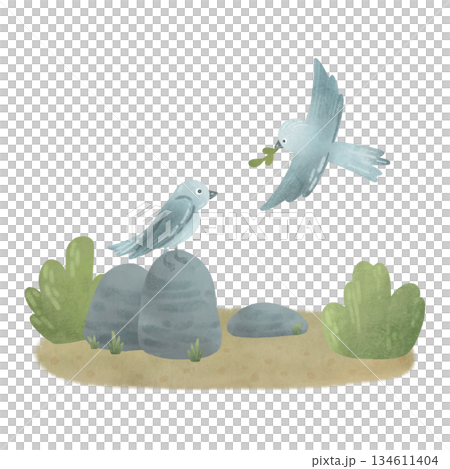 Composition: birds, rocks, sand, bushes. Cartoon illustration in a flat style. Watercolor, pastel, gouache, gray, green. For design of children's products 134611404