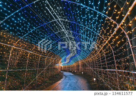 輝くイルミネーション　宮城県　柴田町 134611577