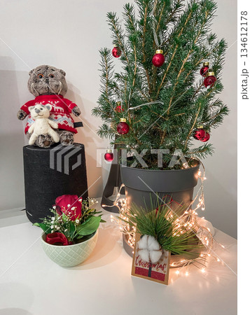 Christmas decor with small tree and festive ornaments. Seasonal celebration, winter coziness, holiday atmosphere, decorative tradition and warm interior styling. 134612178