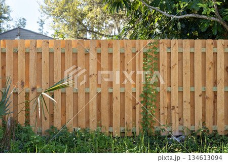 Wooden fence for back yard protection and privacy. Timber plank fencing in Florida 134613094