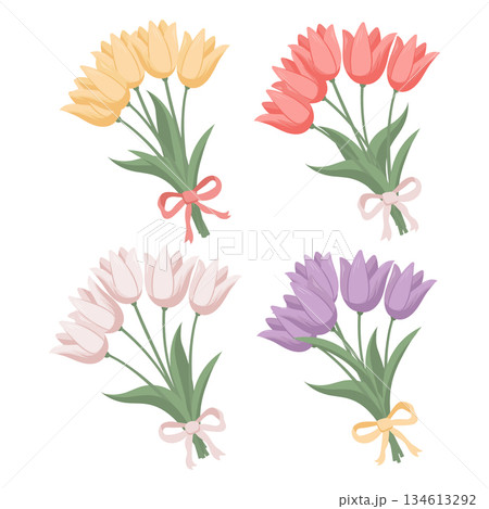 Collection of colorful tulip bouquets with bows. Set of tulip flowers on white background. 134613292