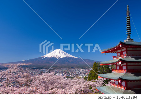富士山と桜と塔 富士山と桜と塔 134613294