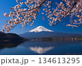 富士山と桜と湖 134613295