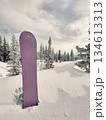 Purple snowboard in snow near frosted forest under cloudy sky 134613313