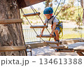 Child Navigating Rope Course in Adventure Park with Safety Gear 134613388