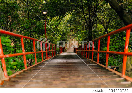 shikoku, JAPAN - may 2 2025 Iyadani Temple No. 71 Red Staircase in the Shikoku Pilgrimage shikoku, JAPAN - may 2 2025 Iyadani Temple No. 71 Red Staircase in the Shikoku Pilgrimage 134613783