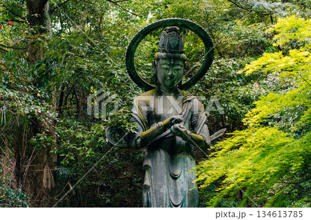 shikoku, JAPAN - may 2 2025 Iyadani Temple No. 71 Bodhisattva Statue  134613785