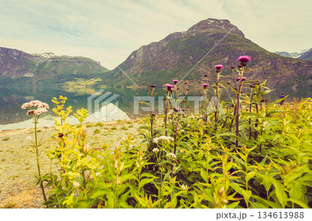 Mountains and fjord in Norway, 134613988