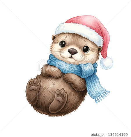Cute watercolor sea otter wearing pink Santa hat and blue scarf. Hand drawn winter holiday marine animal illustration isolated on white background. 134614190