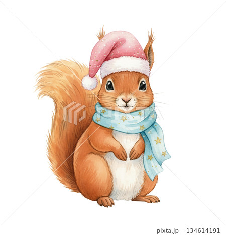Cute watercolor squirrel wearing pink Santa hat and blue scarf. Hand drawn winter holiday forest animal illustration isolated on white background. Cute watercolor squirrel wearing pink Santa hat and blue scarf. Hand drawn winter holiday forest animal illustration isolated on white background. 134614191