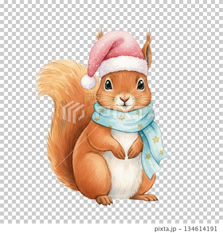 Cute watercolor squirrel wearing pink Santa hat and blue scarf. Hand drawn winter holiday forest animal illustration isolated on white background. Cute watercolor squirrel wearing pink Santa hat and blue scarf. Hand drawn winter holiday forest animal illustration isolated on white background. 134614191