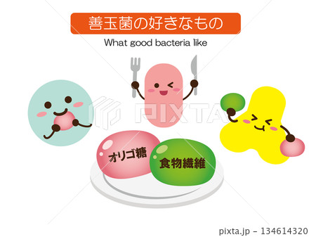 善玉菌の好きなもの シンプル 善玉菌の好きなもの シンプル 134614320