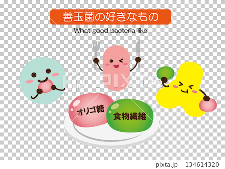 善玉菌の好きなもの シンプル 善玉菌の好きなもの シンプル 134614320