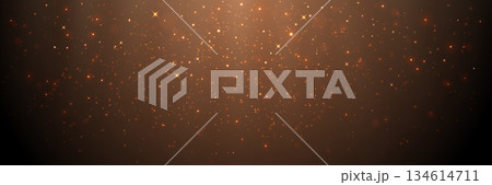 Glitter background. Gold particles with light rays. Golden dust and stars effect. Luxury flying sparks with bright beams. Firework background with lights. Magic design template. Vector illustration 134614711