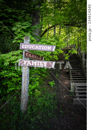 Direction Signpost Showing Education, Career and Family Choices in Forest 134614840