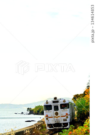 ススキとふたつ星大村線 134614853