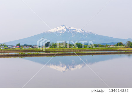春の青森県鶴田町　日本百名山　岩木山（津軽富士） 134614885