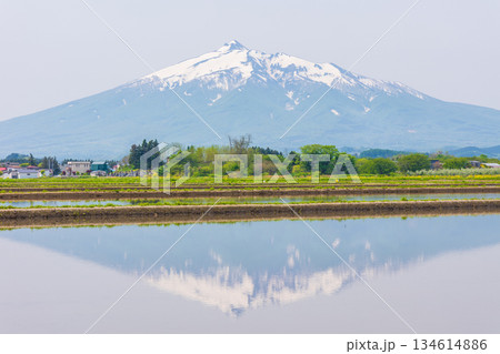 春の青森県鶴田町　日本百名山　岩木山（津軽富士） 134614886
