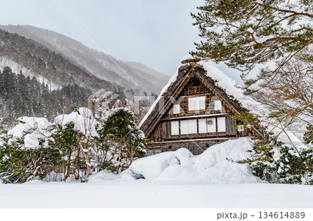 雪の白川郷 和田家 134614889