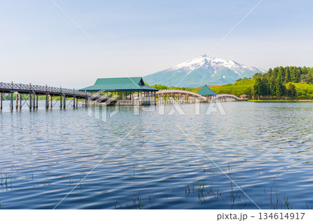 春の青森県鶴田町　鶴の舞橋と岩木山 134614917
