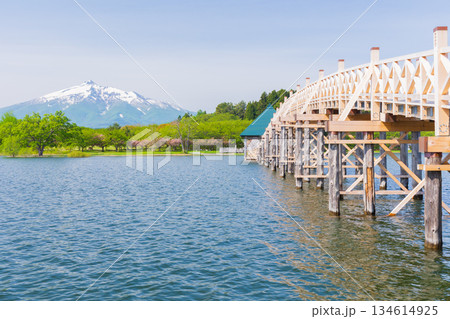 春の青森県鶴田町　岩木山と鶴の舞橋 134614925