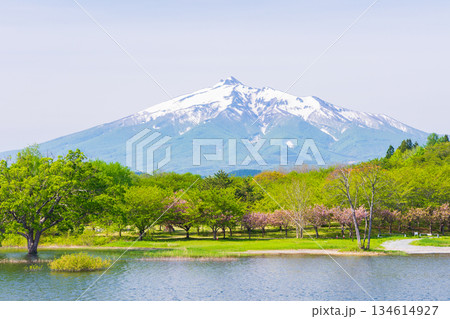 春の青森県鶴田町　岩木山と津軽富士見湖 134614927