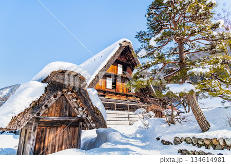 雪晴れの白川郷 134614981