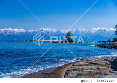 【冬の風物詩】よく晴れた冬の雨晴海岸と冠雪した後立山連峰【富山県】 134615337