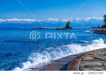 【冬の風物詩】よく晴れた冬の雨晴海岸と冠雪した後立山連峰【富山県】 134615342