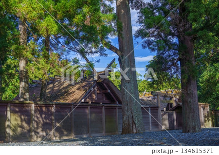 静寂に包まれた神聖な神社の情景 134615371