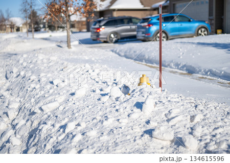 Snow covers fire hydrant next to parked cars in residential area during winter day in suburban neighborhood 134615596