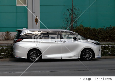 高級ミニバン 134615660
