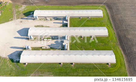 Aerial view above a confined animal operation hog building 134615695