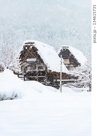 雪の白川郷 134615735