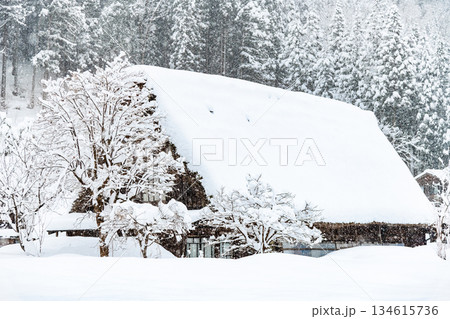 雪の白川郷 134615736