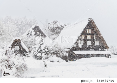 雪の白川郷 134615739