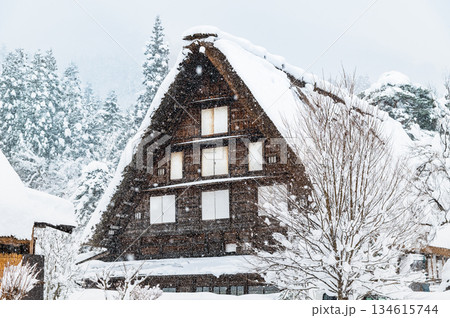 雪の白川郷 雪の白川郷 134615744
