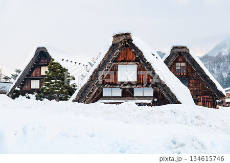 雪の白川郷 134615746